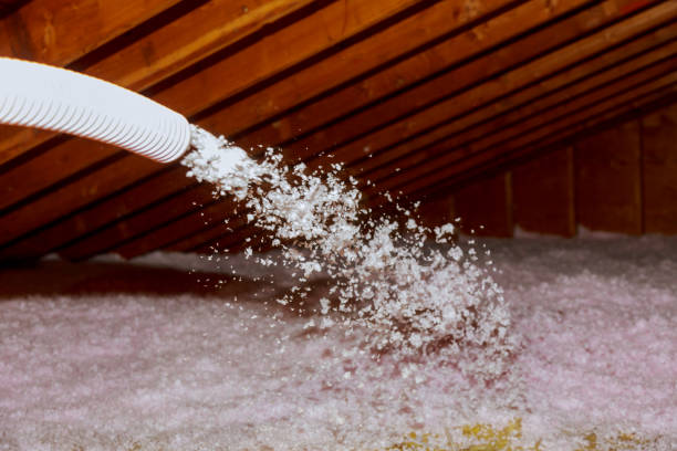 Best Insulation Maintenance and Repair in Eleele, HI