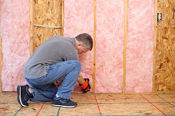 Best Fiberglass Insulation in Eleele, HI